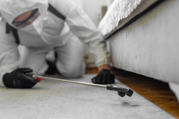 Professional Bed Bug Control technician working in Berrien Springs, MI