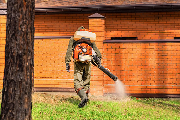 Trusted Rodent Control service in Berrien Springs, MI - Nex Pest Control